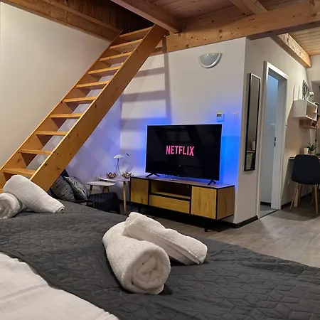 Apartsy 23 Lägenhet Svitavy
